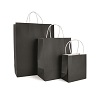 BRUNSWICK LARGE PAPER BAG BRUNSWICK LARGE PAPER BAG